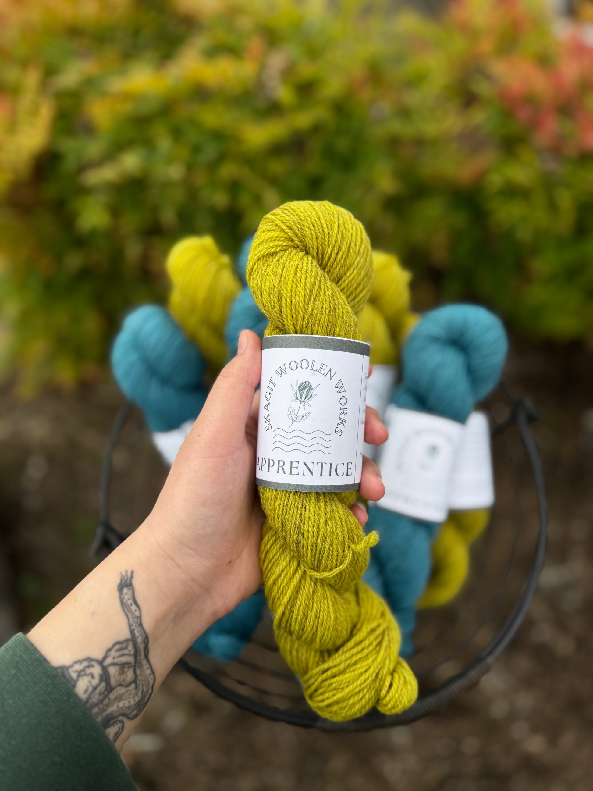 Hand holding a skein of yellow to chartreuse yarn with a label above a wire basket of yarn in the background.