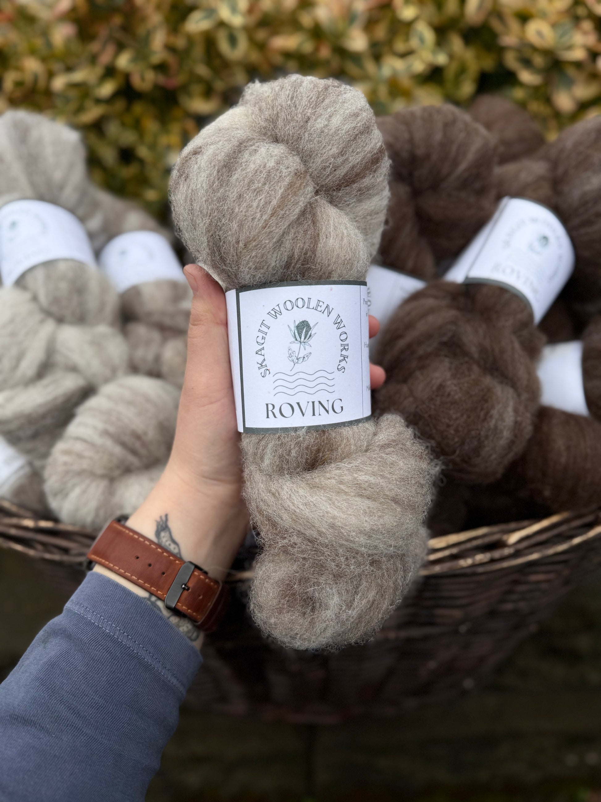 Hand holding a hank of a warm grey and bown multi Jacob wool, surrounded by more hanks in the background.