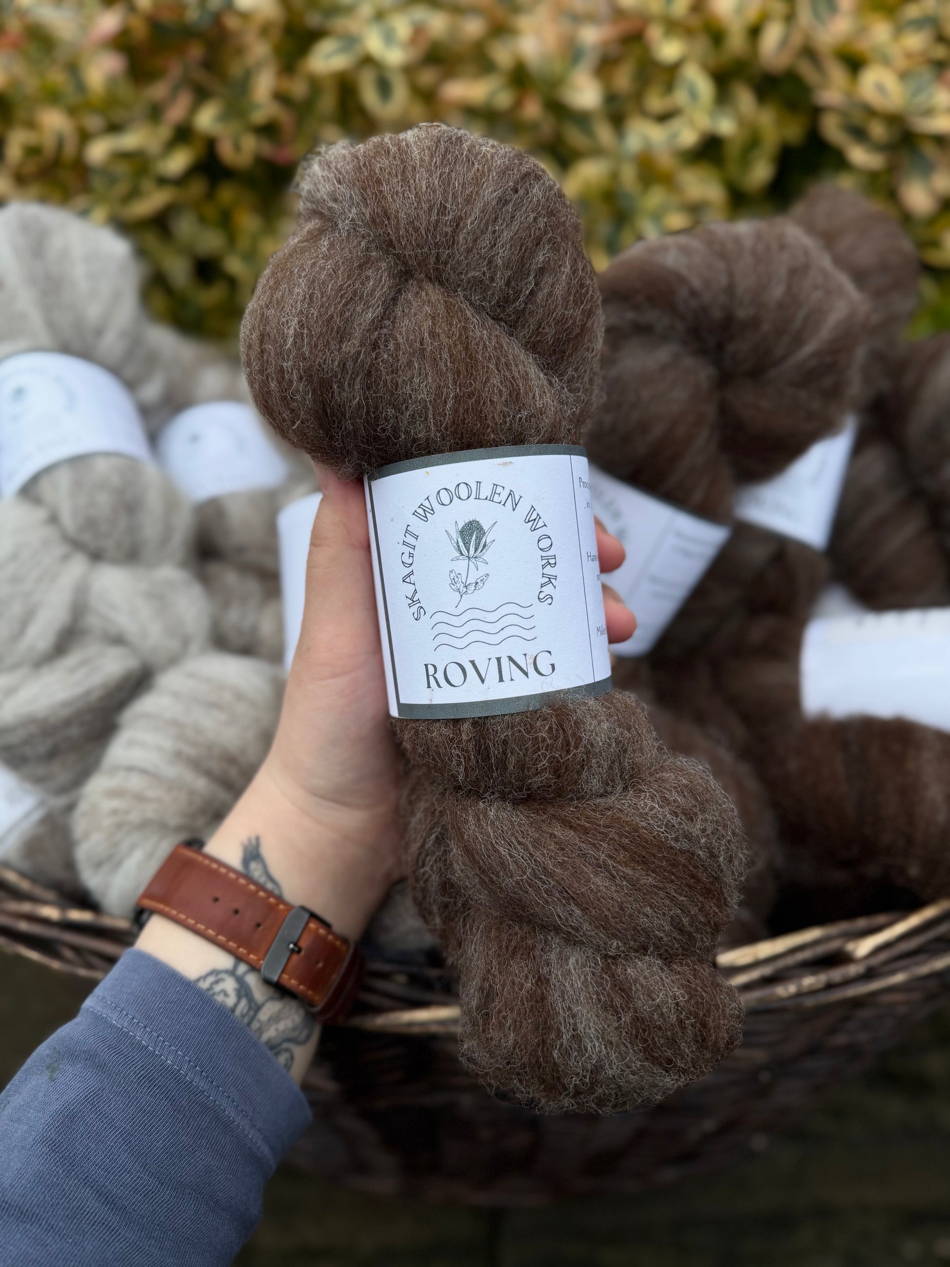 Hand holding a hank of dark brown Jacob x Suffolk roving with more hanks in the background.