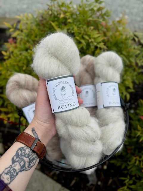 Hand holding a hank of silvery gray Icelandic and alpaca roving, above a basket of more hanks.