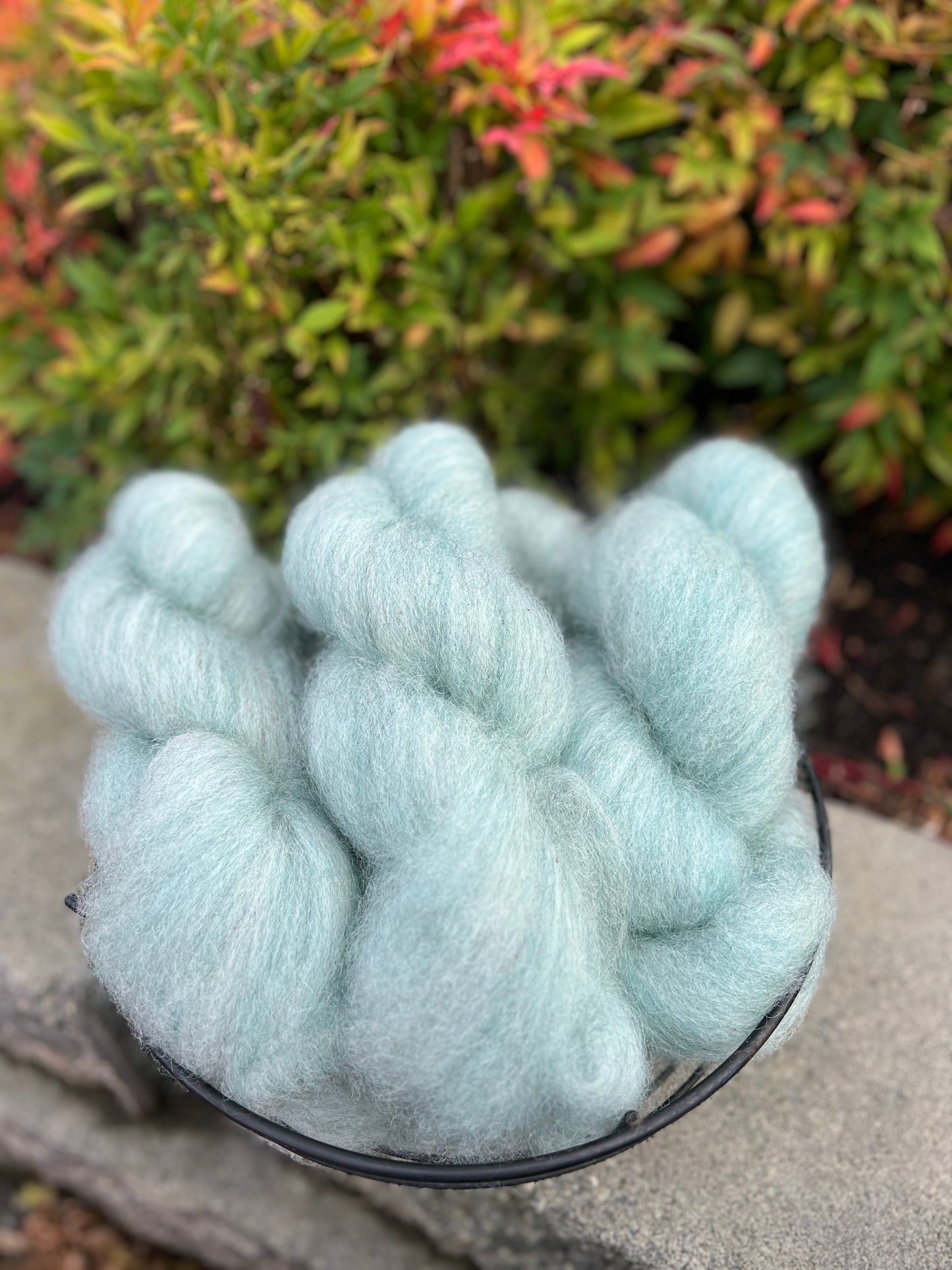 Dyed Roving - Limited Edition Colors