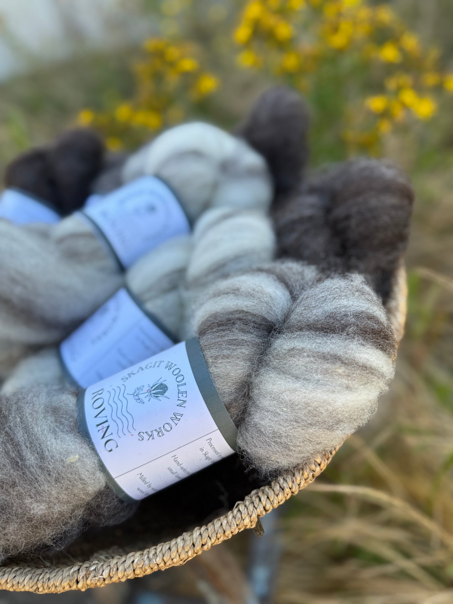 Skagit Woolen Roving
