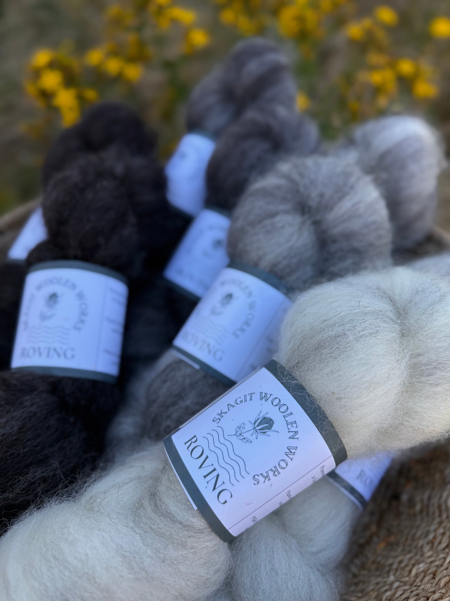 Skagit Woolen Roving
