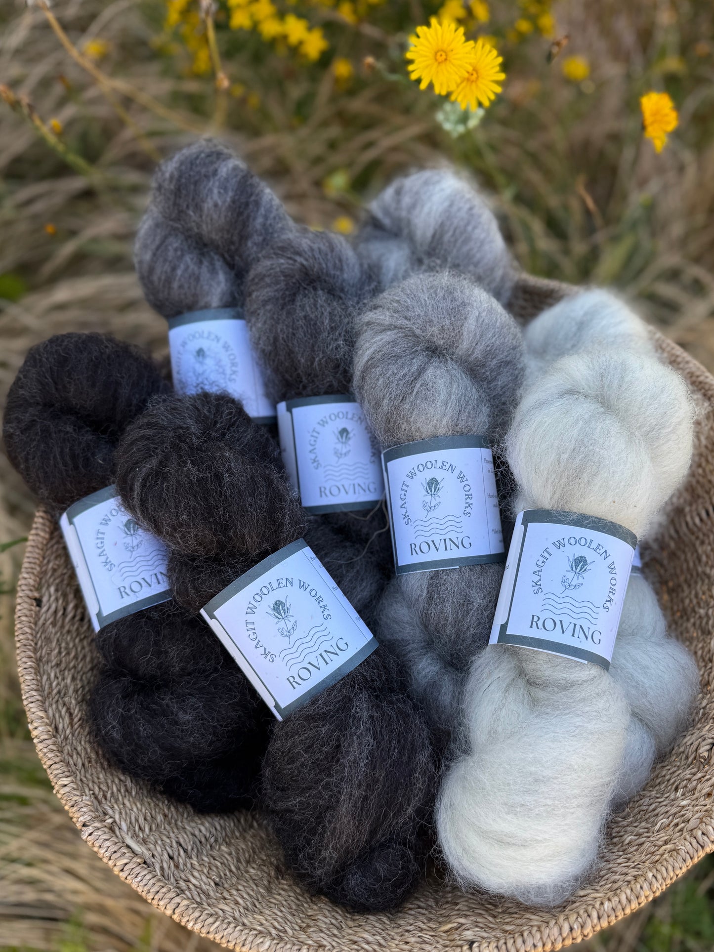Skagit Woolen Roving